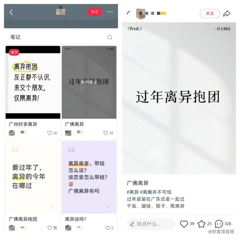 小红书做离异搭子，小众冷门项目可以入手-织音项目网