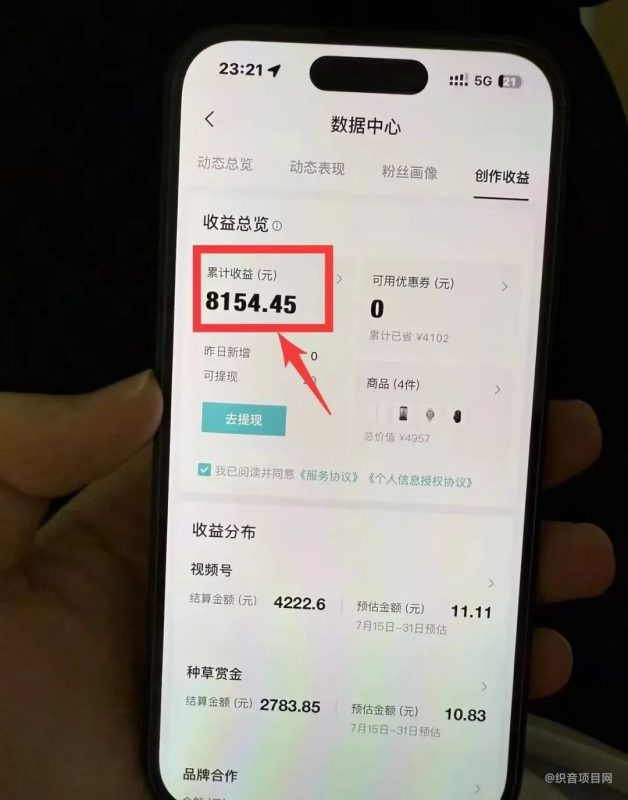 得物搬砖项目拆解,操作简单,月入6000+-织音项目网