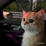 zhiyin-织音项目网